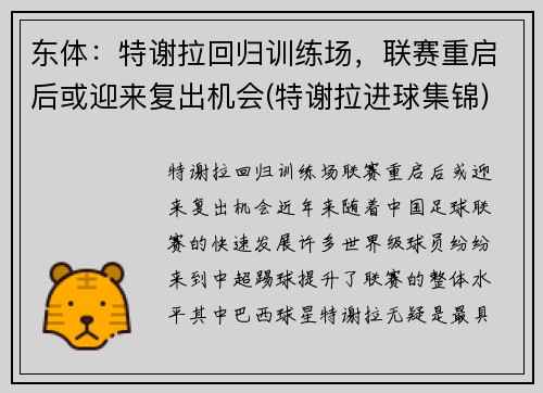 东体：特谢拉回归训练场，联赛重启后或迎来复出机会(特谢拉进球集锦)