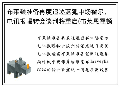 布莱顿准备再度追逐蓝狐中场霍尔，电讯报曝转会谈判将重启(布莱恩霍顿)